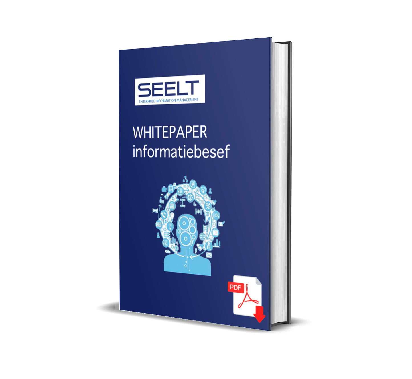 Whitepaper informatiebesef